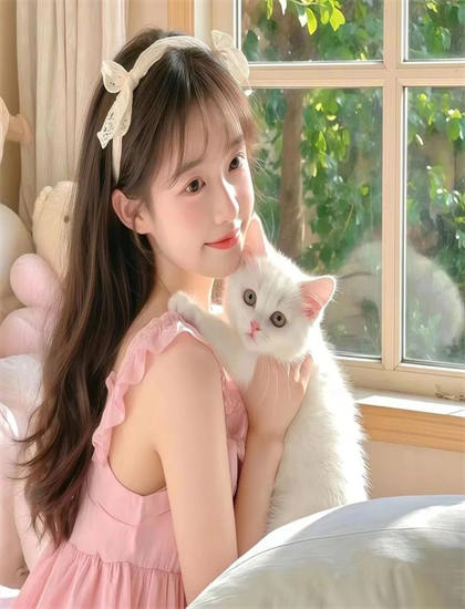 蓝光原盘：权欲第二章 第三季美学价值分析：艺术美感与审美特征探讨